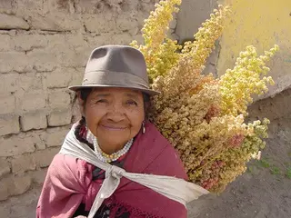 Indigenous Woman, Ecuador