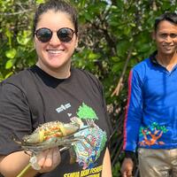 Mangrove ecosystem restoration brings biodiversity with it: IUCN staff with mud crab in mangrove forest, Bali, Indonesia