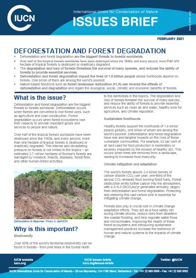 thumbnail_deforestation-forest_degradation_issues_brief_2021.jpg
