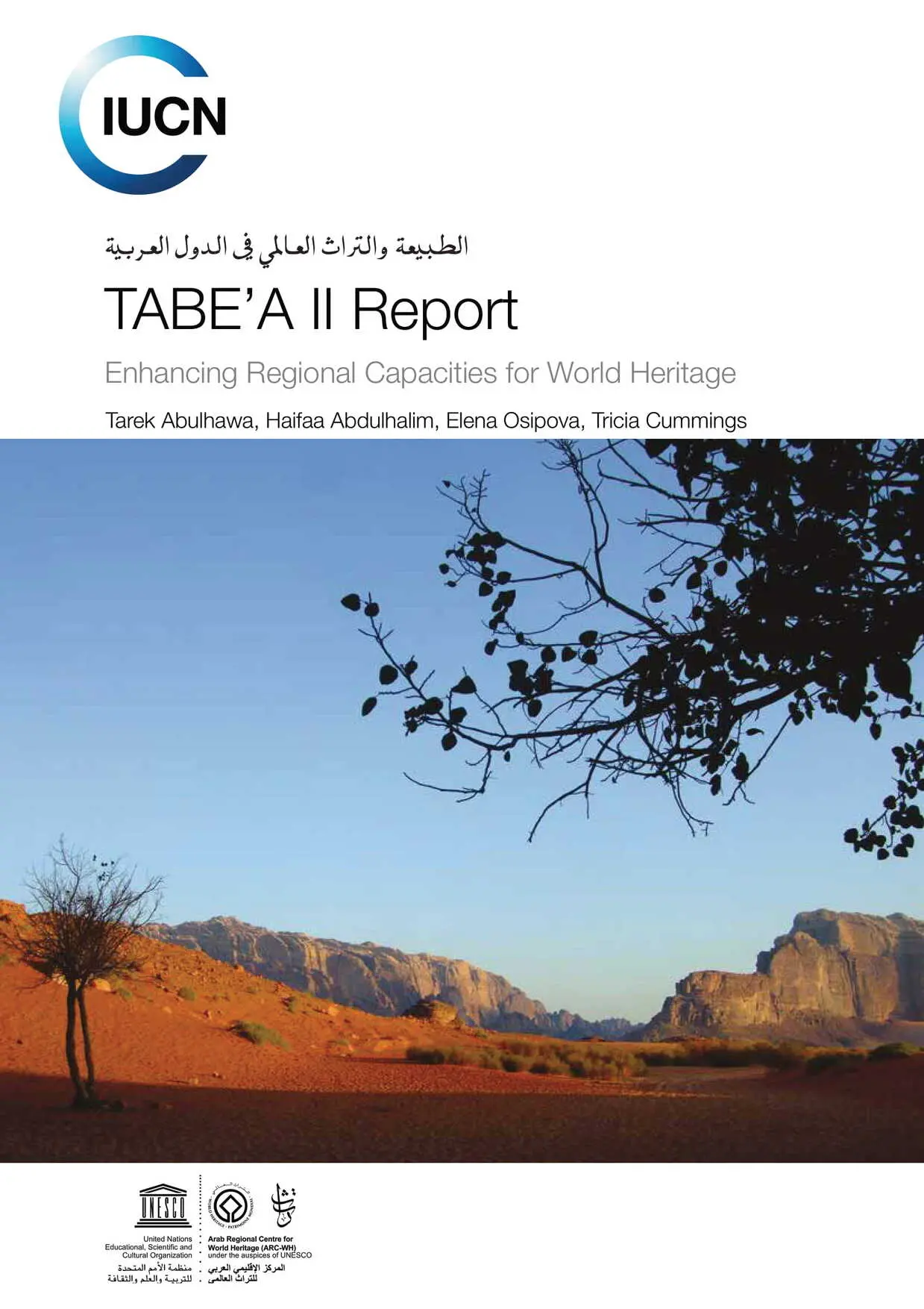 TABE'A II report : enhancing regional capacities for World Heritage