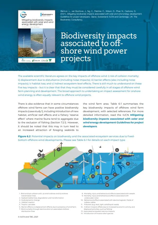 Biodiversity impacts  associated to offshore wind power  projects