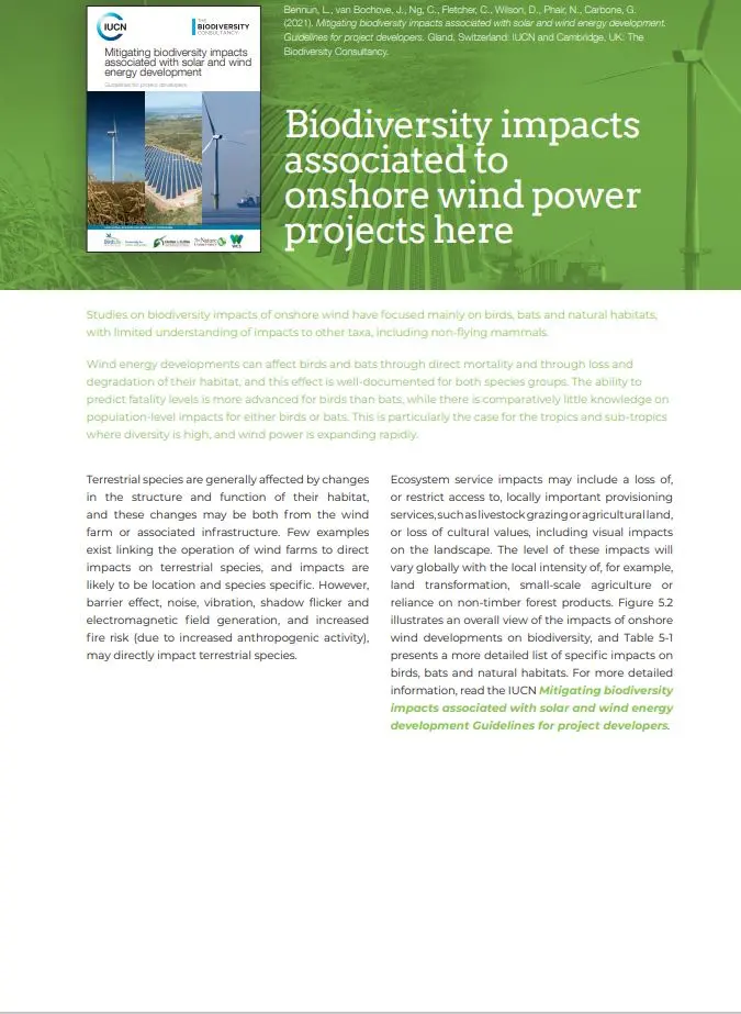 Biodiversity impacts  associated to  onshore wind power  projects 