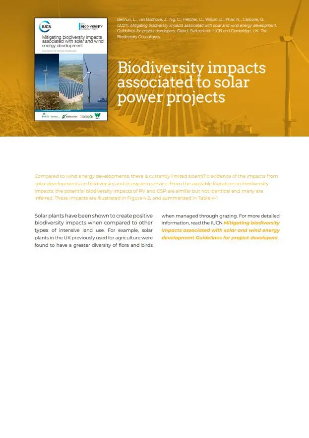 Biodiversity impacts  associated to solar  power projects