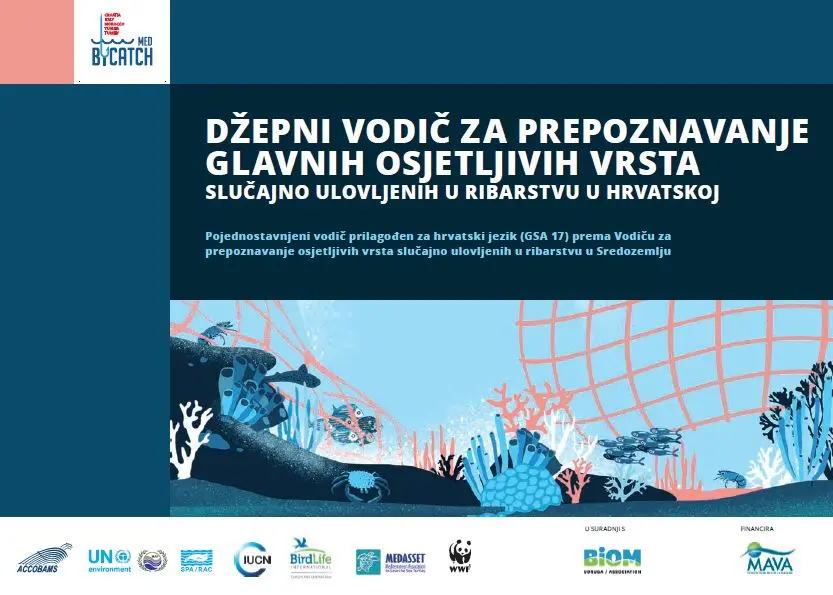 croatia-vulnerable-marine-species-fisheries-bycatch-pocket-croatian.jpg