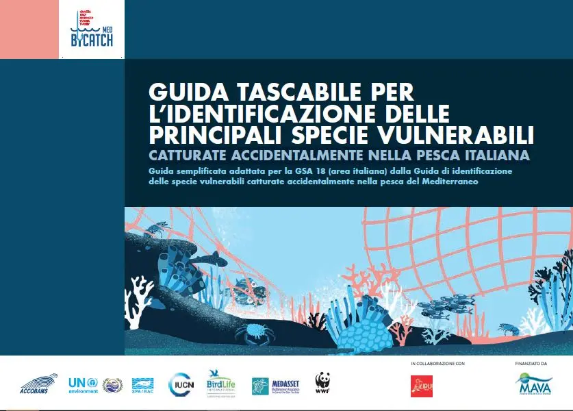 italia-specie-marine-vulnerabili-pesca-accessoria-pocket-italiano.jpg