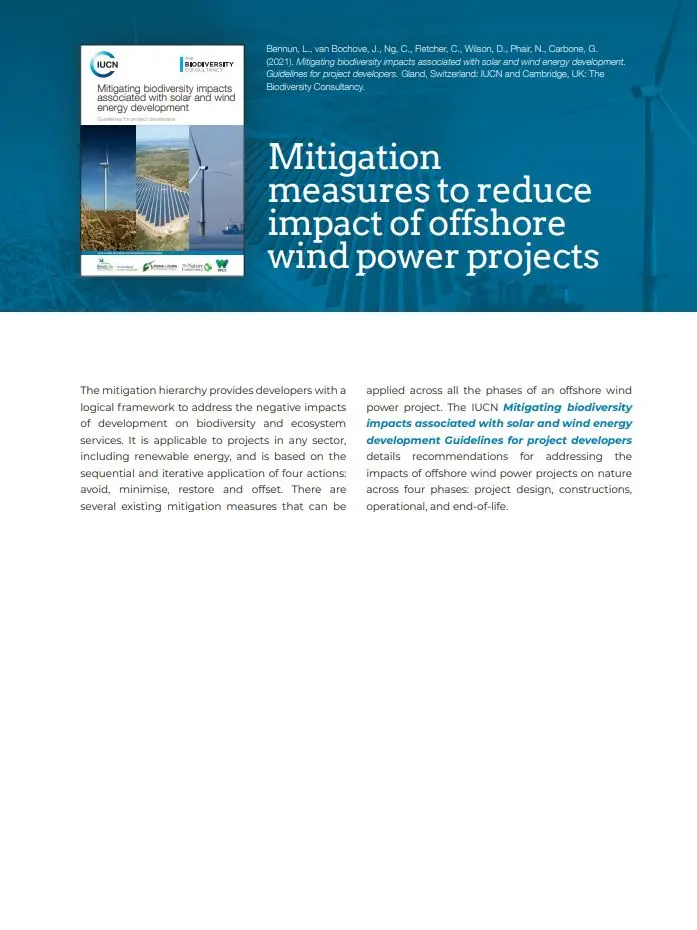 Mitigation  measures to reduce  impact of offshore  wind power projects 