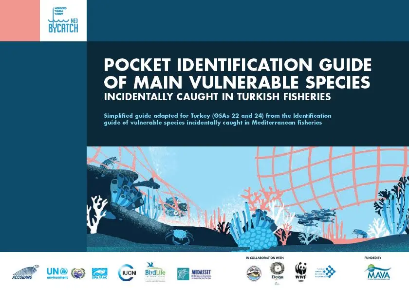 turkey-vulnerable-marine-species-fisheries-bycatch-pocket-english