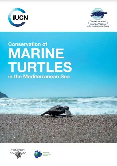 Conservation of marine turtles in the mediterranean sea 