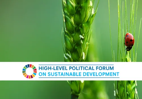 UN High Level Political Forum logo with ladybug and wheat