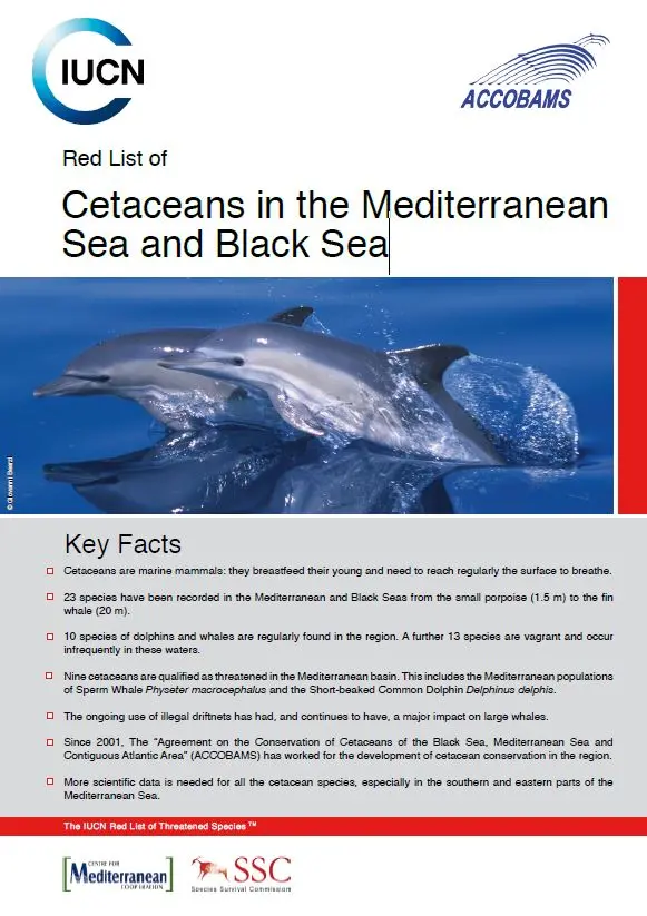Cetaceans in the Mediterranean Sea and Black Sea pic