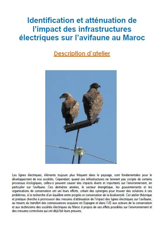Identification et atténuation de l'impact des infraestructures électriques sur l'avifaune au Maro