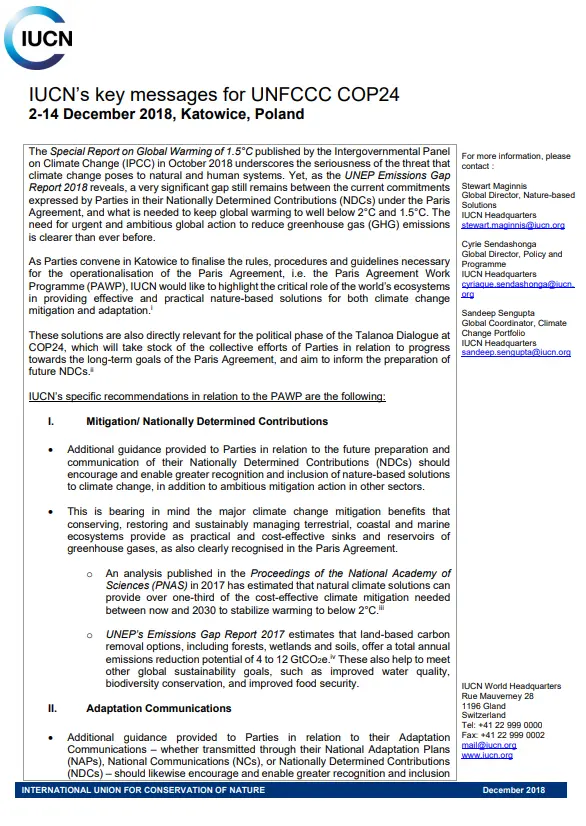 position paper UNFCCC COP24