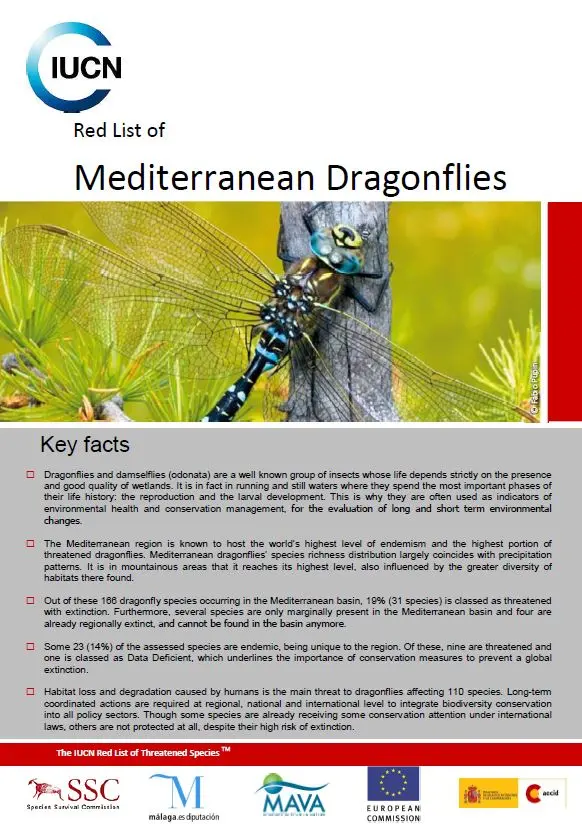 Red List of Mediterranean Dragonflies pic