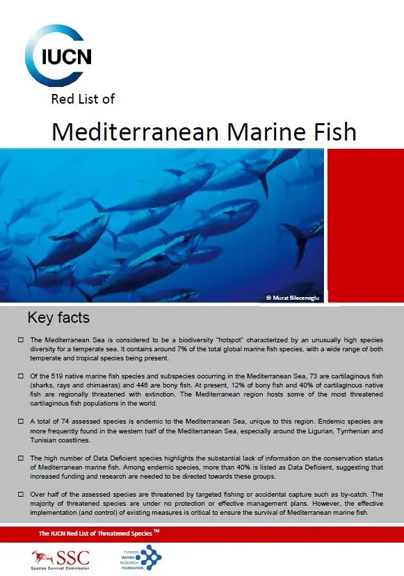 Red List of Mediterranean Marine Fish pic