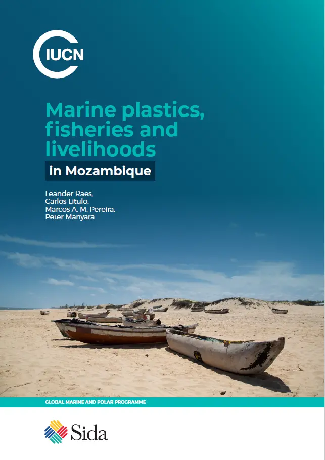 MARPLASTICCs Economic Briefs - Mozambique cover