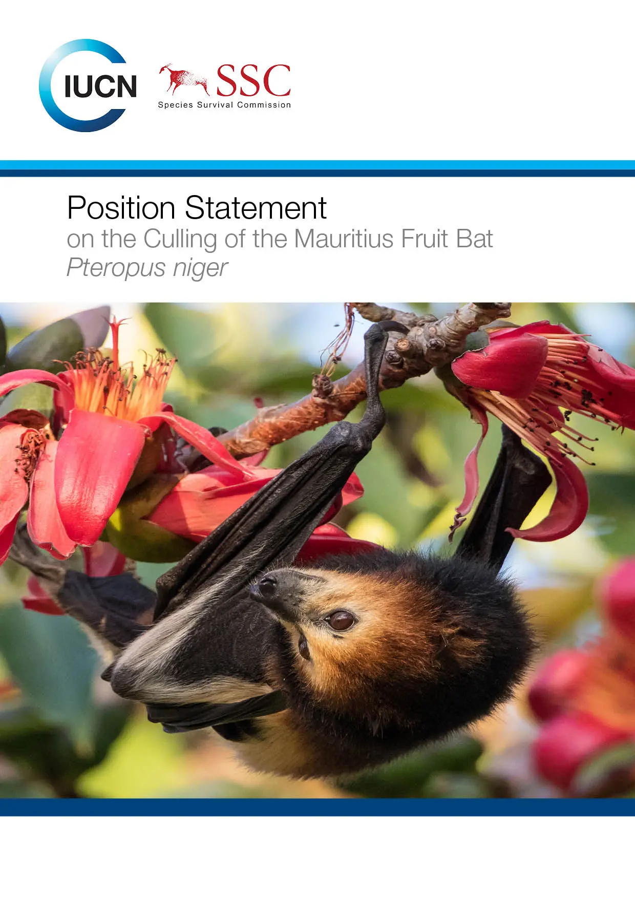 Position Statement on the Culling of the Mauritius Fruit Bat Pteropus niger