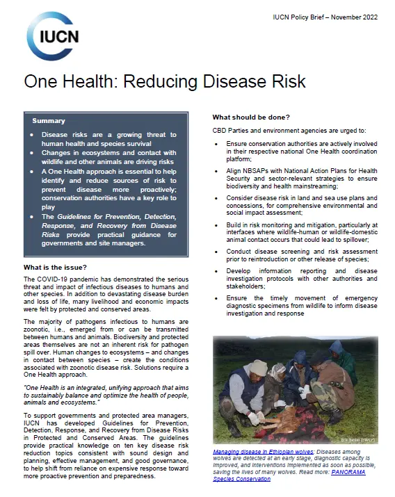 one health - policy brief