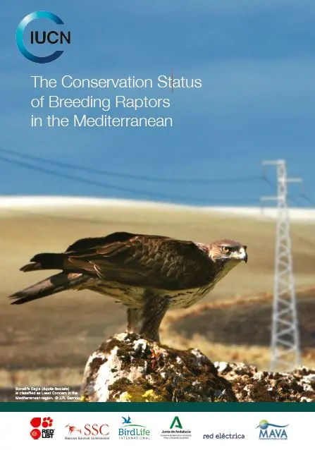 Brochure: Conservation Status of Breeding Raptors in the Mediterranean