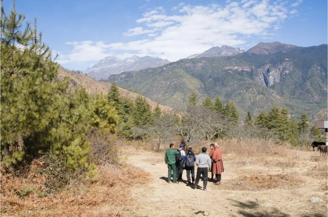 Bhutan Mountain Landscape