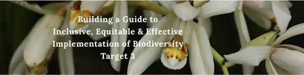 Building a Guide on Inclusive, Equitable and Effective Implementation of Biodiversity Target 3