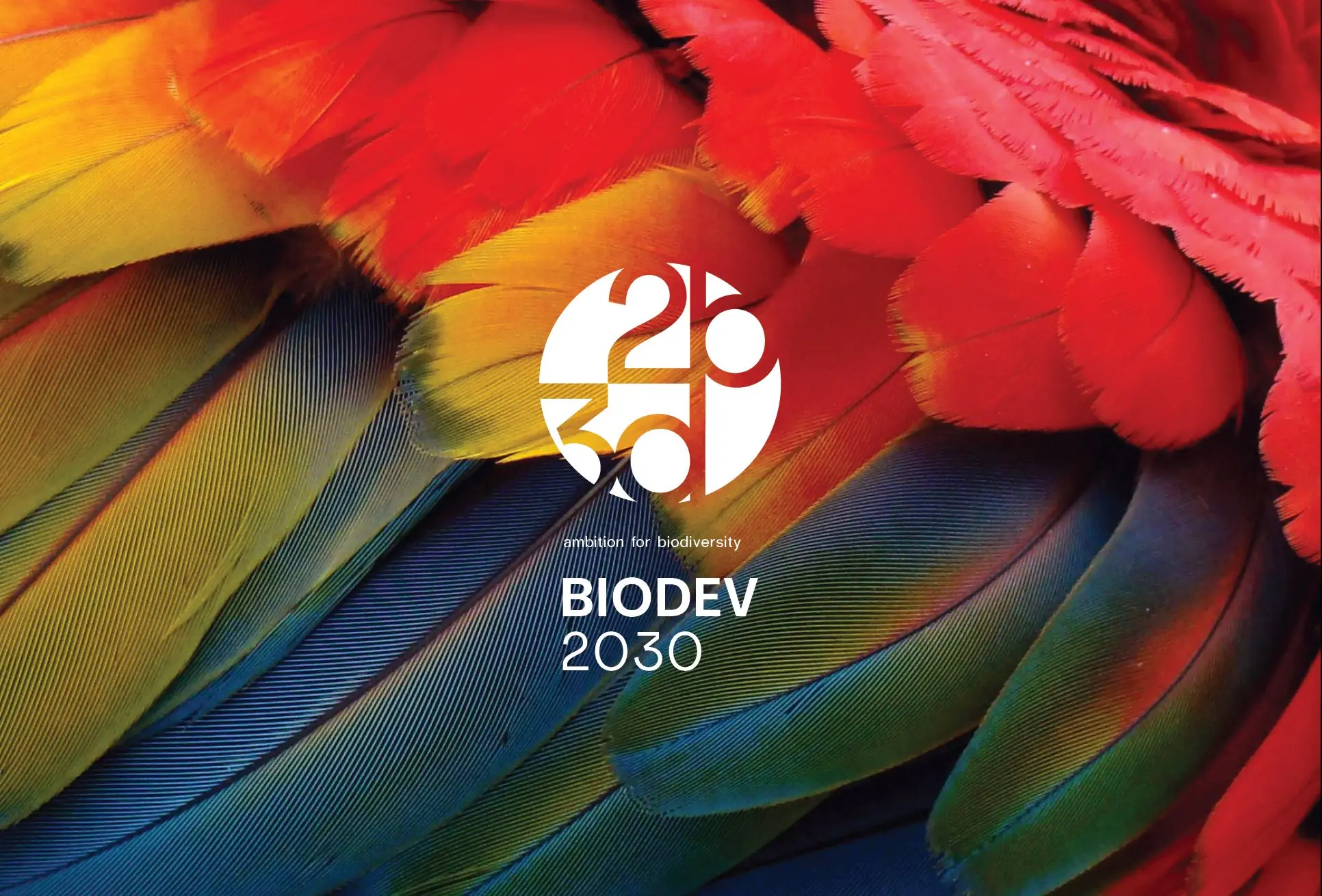 BIODEV logo on colourful feathers