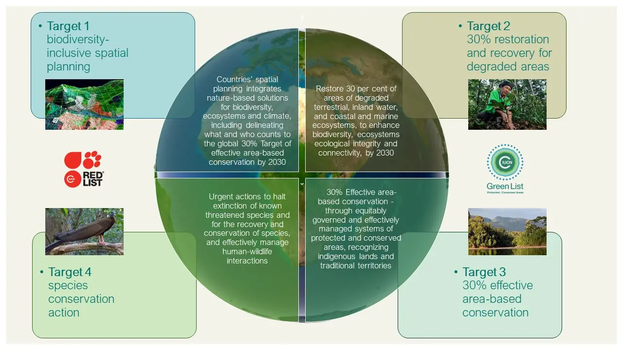 Targets 1 to 4 of the GBF and how they interrelate source IUCN.