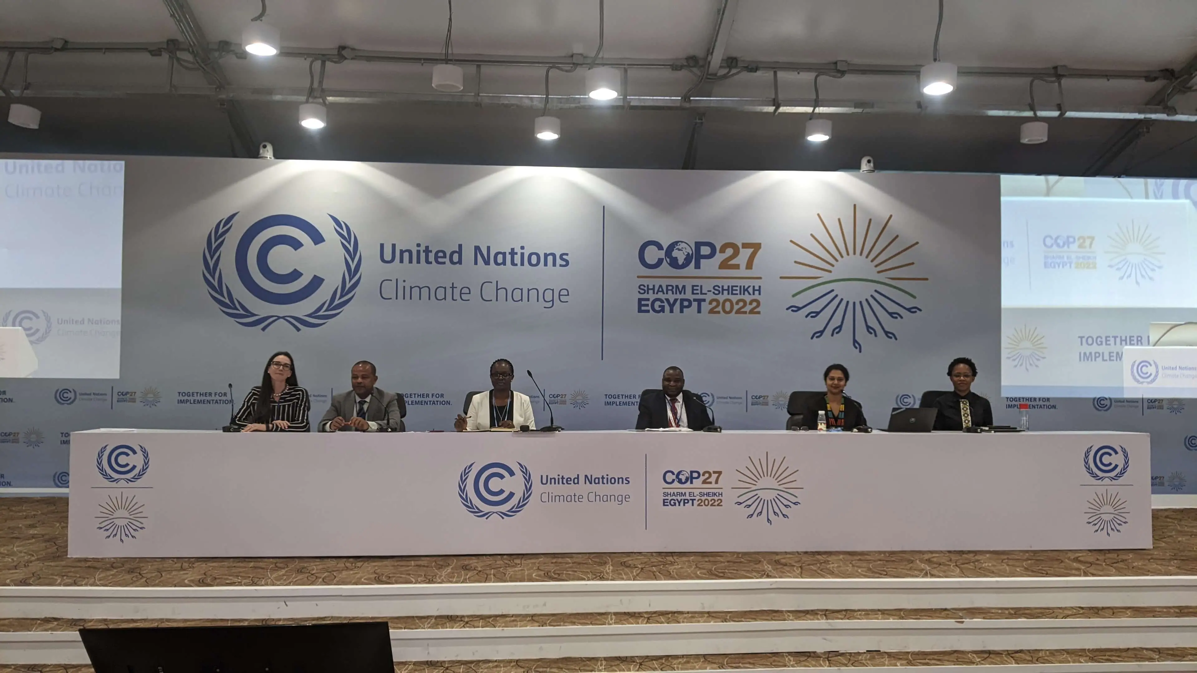 COP27 in-person panel