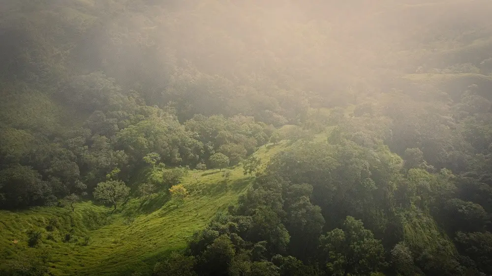 Bosque nuboso Costa Rica