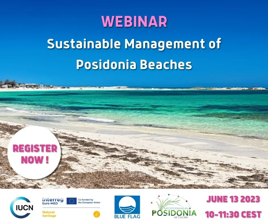 Webinar sustainable management of posidonia beaches, June 13 2023 10-11:30 CEST