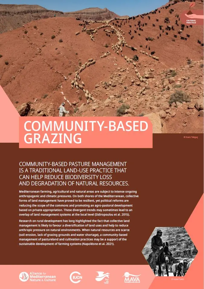 Practice Community Based Grazing cover