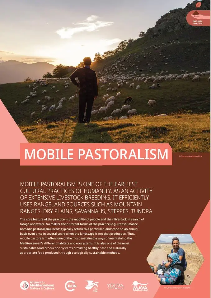 Practice Mobile Pastoralism cover
