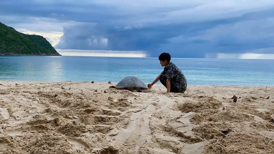 turtle and volunteer