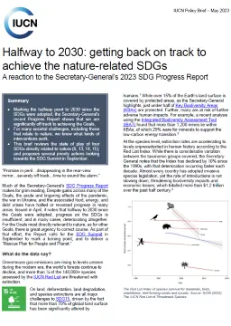 SDG brief thumbnail 05/2023