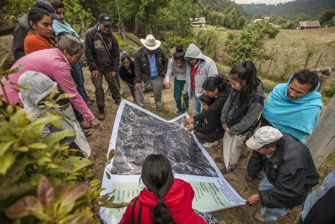 El tercer ciclo del programa de pequeñas donaciones del proyecto Altiplano Resiliente dará prioridad a proyectos de Adaptación basada en Ecosistemas (AbE), con énfasis en sistemas agroforestales (SAF) y enfoque de género.
