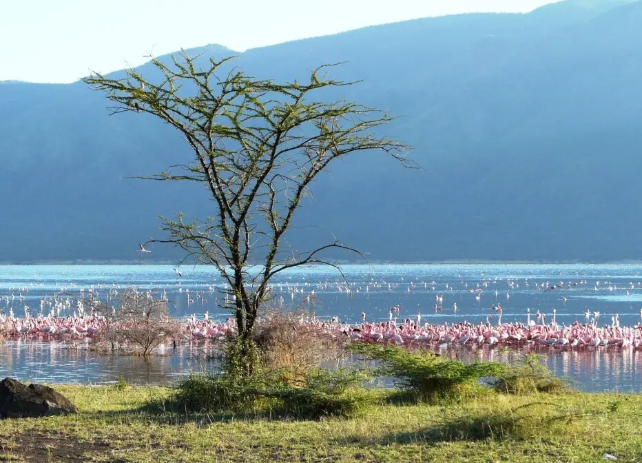 Kenya Lake System, Great Rift Valley
