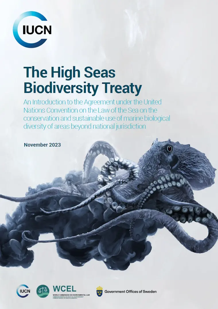 IUCN BBNJ Treaty policy brief cover