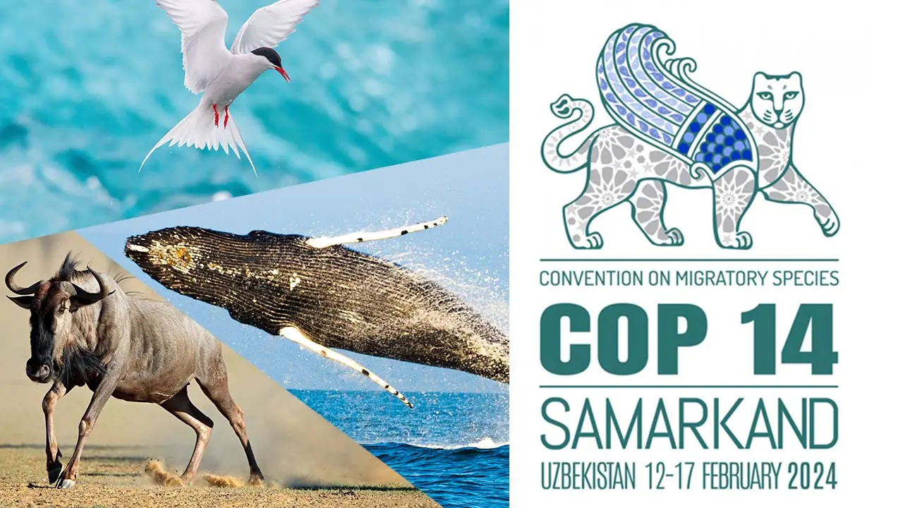 CMS COP14 - Samarkaland