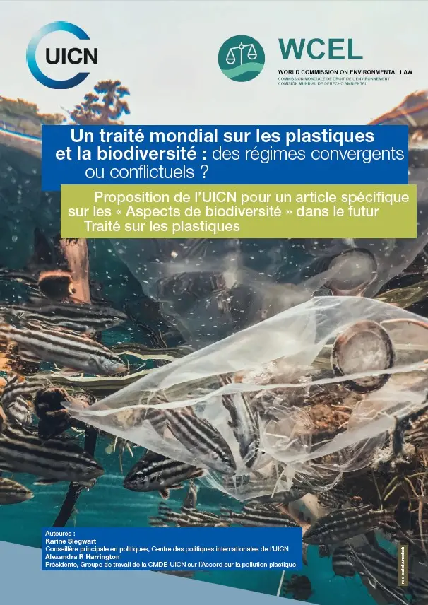 policy-brief-plastics-treaty-and-biodiversity-march-2024-thumbnail-fr.jpg