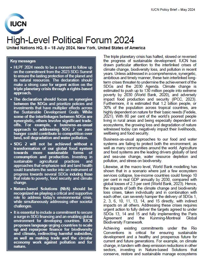 First page of the policy brief for the HLPF 2024