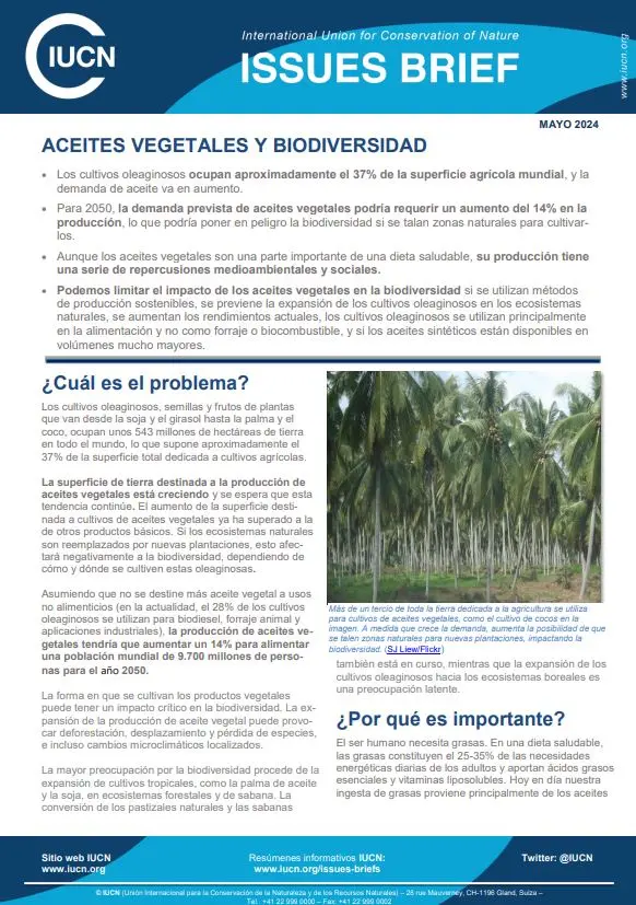 Vegetable oils IB thumbnail - Spanish
