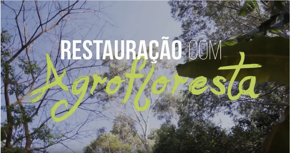 Screenshot of Brazil agroforestry movie