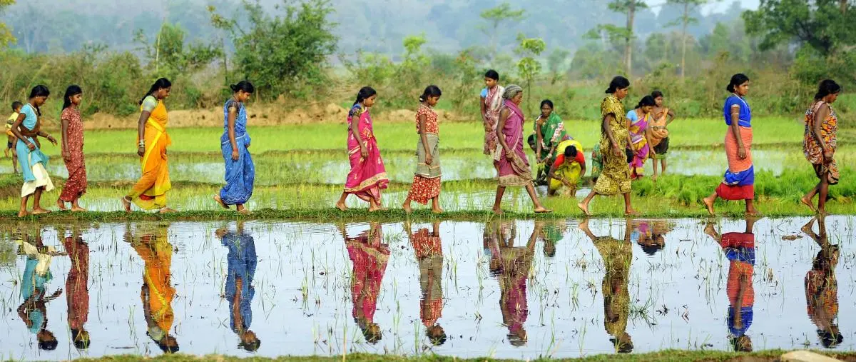 Women in coastal wetlands in Odisha