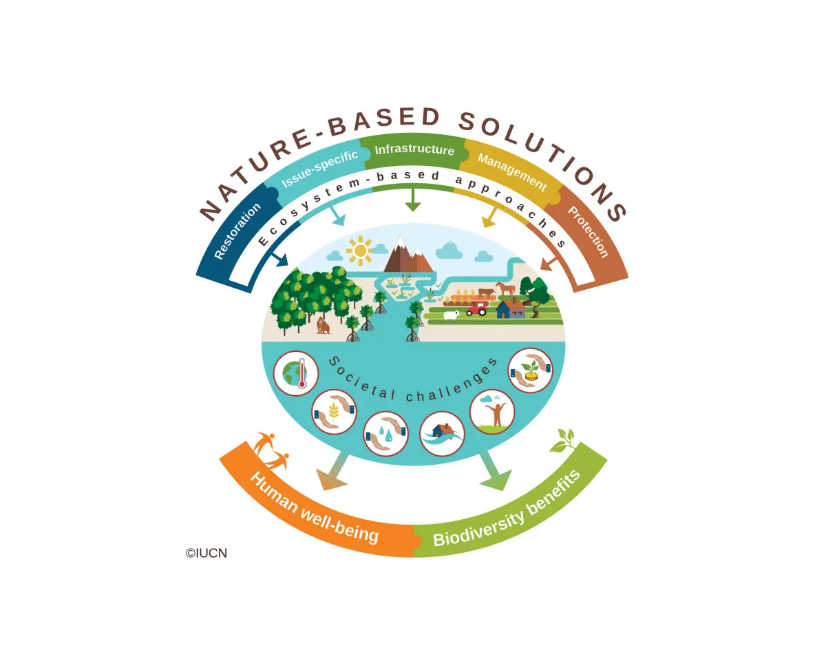 infographic in a round shape with nature based solutions