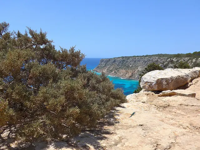 Formentera island (Baleares, Spain)
