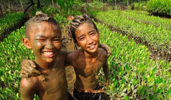 Local boys play in mangrove plantations close to their home in Thailand 