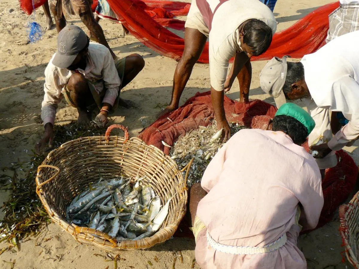 Fishermen in Trincomalee, Sri Lanka 