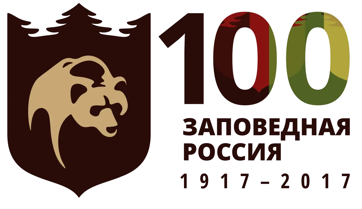 logo 100 years of Russia's PA