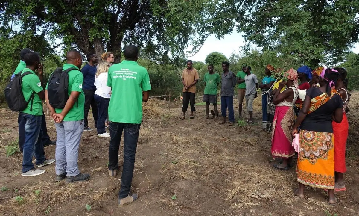 Producers clubs in Mozambique practice climate-smart agriculture