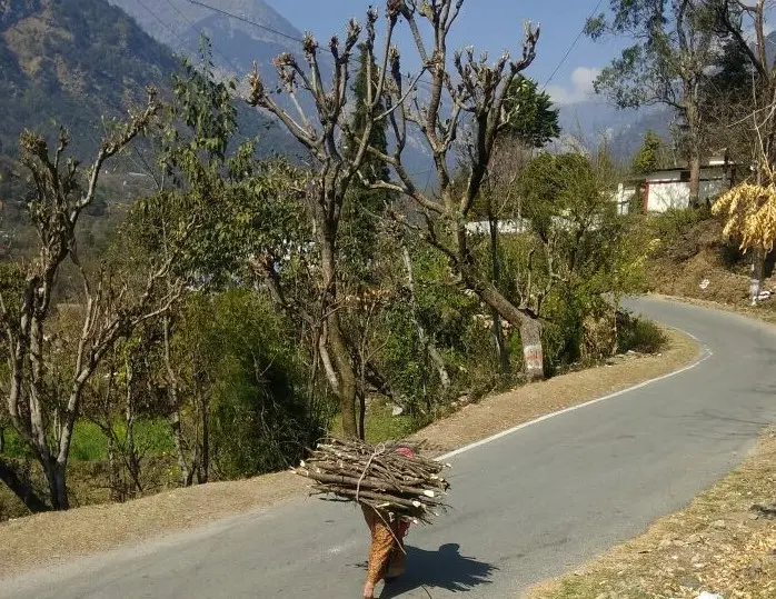 Firewood headload hill women carry every day
