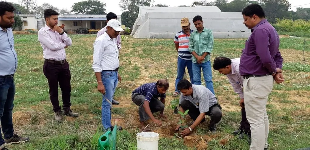 Plantation by KVK in-charge